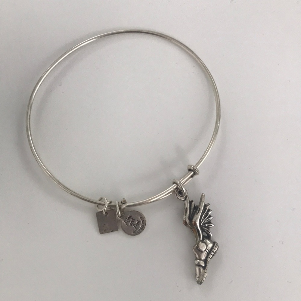 Alex & Ani bracelet